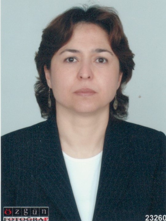 Prof. Dr. H. Belgin AYVAŞIK Öğretim Üyesi Deneysel Psikoloji